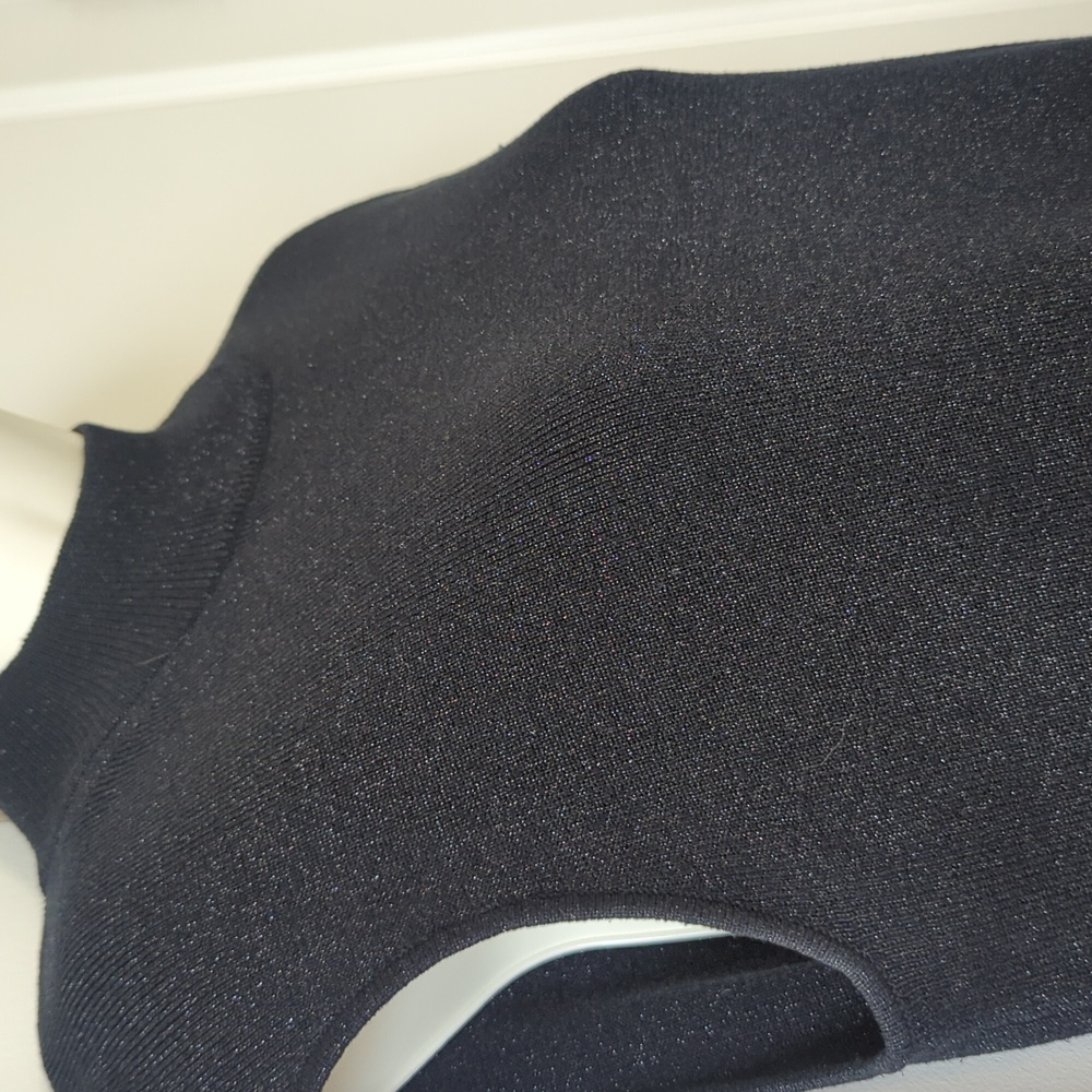 EUC Coldwater Creek Mock Neck Sleeveless Top - Picture 2 of 7